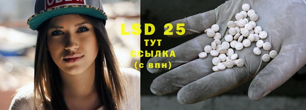 PSILOCYBIN Зеленодольск