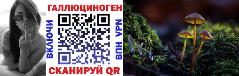 Псилоцибиновые грибы Magic Shrooms  хочу   Лесосибирск 
