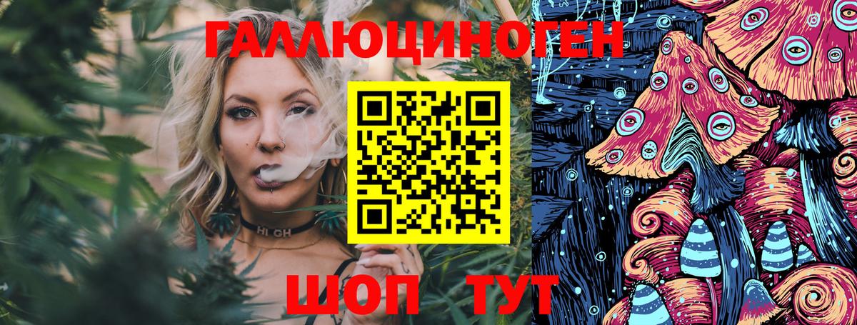 Галлюциногенные грибы Cubensis Лесосибирск
