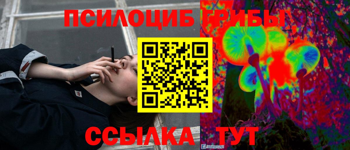 Псилоцибиновые грибы Cubensis  Галлюциногенные грибы Psilocybine cubensis  Вход с VPN  Лесосибирск 